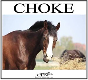 CHOKE IN HORSES