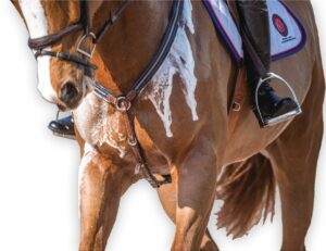 ELECTROLYTES FOR HORSES