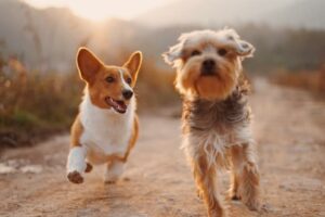 THE SIDE EFFECTS OF JOINT PAIN MEDICATION