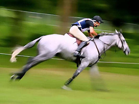 The Secret Weapon Against Lactic Acid in Horses!