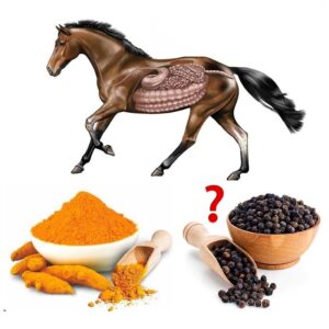 DO YOU REALLY NEED TO ADD PEPPER TO TURMERIC?