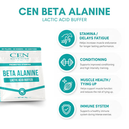 CEN Beta Alaine Horse Supplement