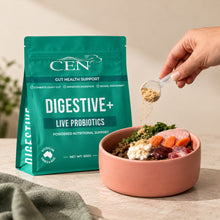 CEN Digestive+ Dog Probiotic Supplement