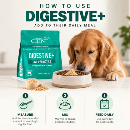 CEN Digestive+ Dog Probiotic Supplement