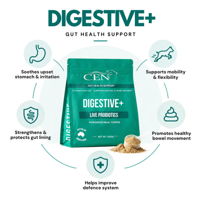 CEN Digestive+ Dog Probiotic Supplement