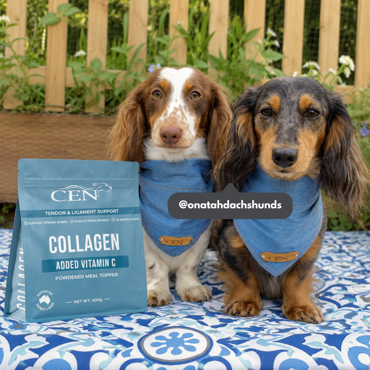 CEN COLLAGEN للكلاب