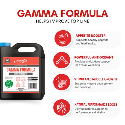 CEN Gamma Formula