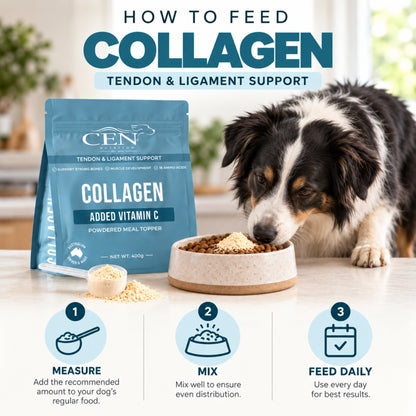 CEN COLLAGEN للكلاب