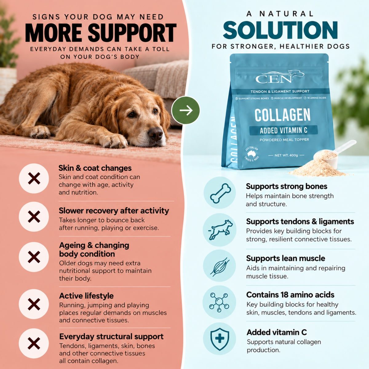 CEN COLLAGEN للكلاب