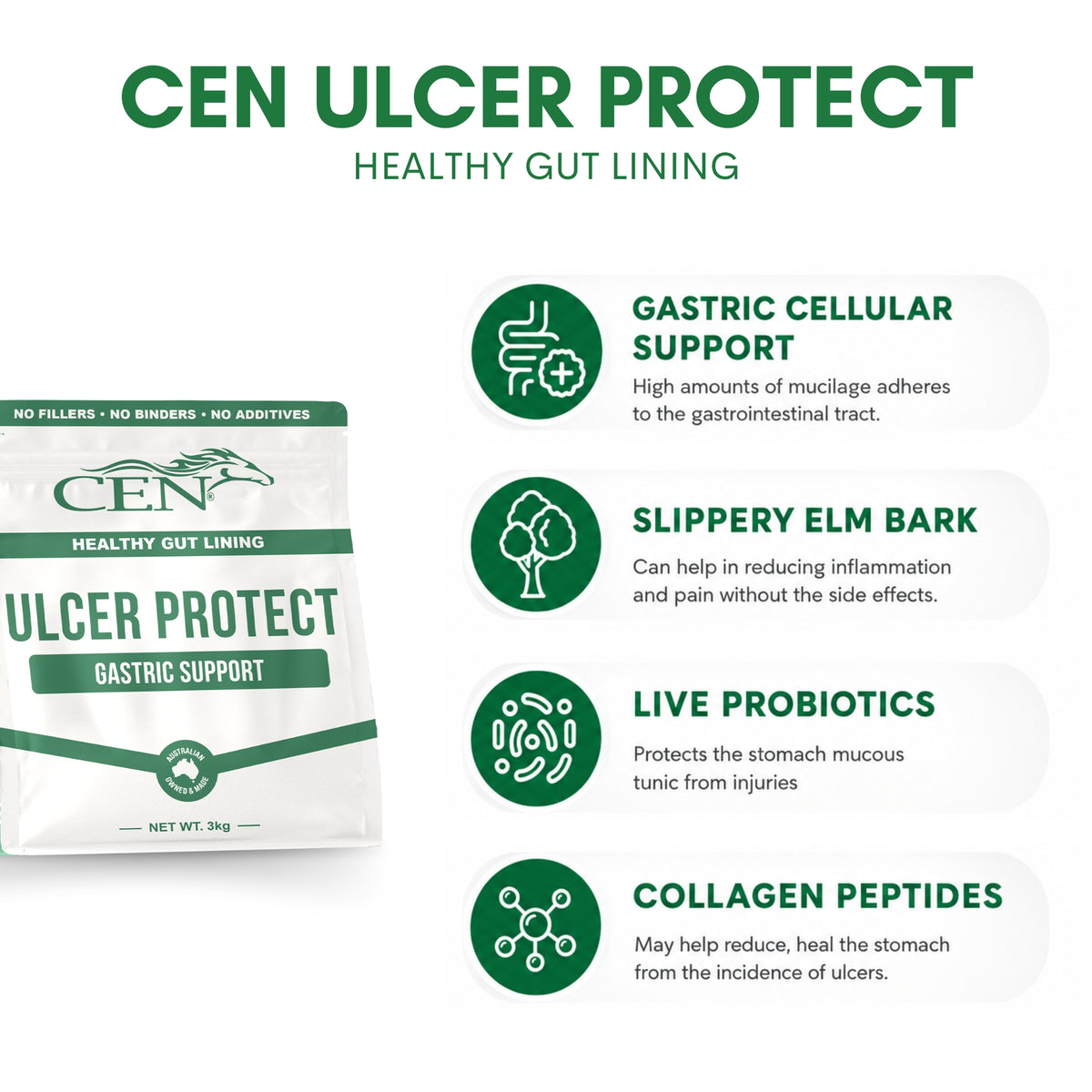 CEN Ulcer Protect Horse Supplement