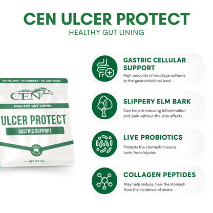 CEN Ulcer Protect Horse Supplement
