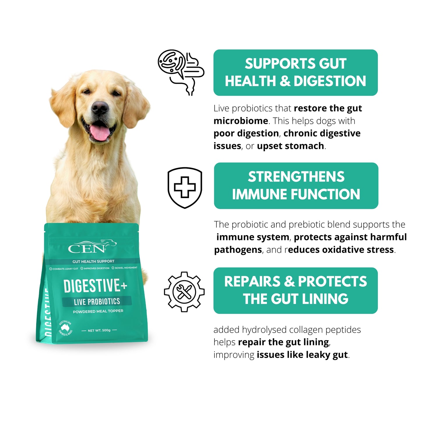 CEN Digestive+ Dog Probiotic Supplement