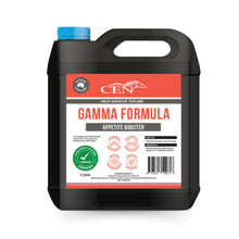 CEN Gamma Formula