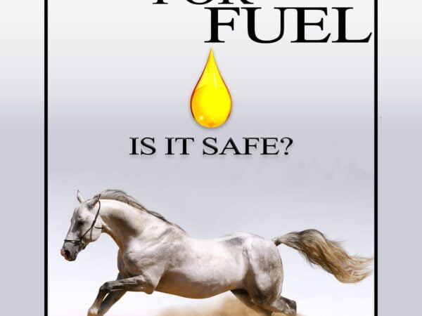 FAT FOR FUEL, IS IT SAFE FOR YOUR HORSE?