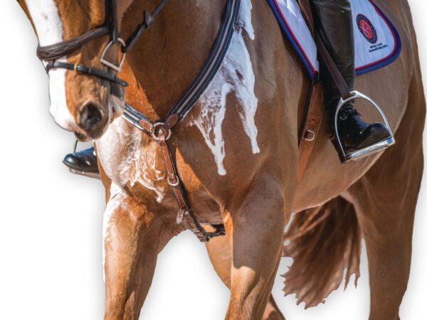 ELECTROLYTES FOR HORSES