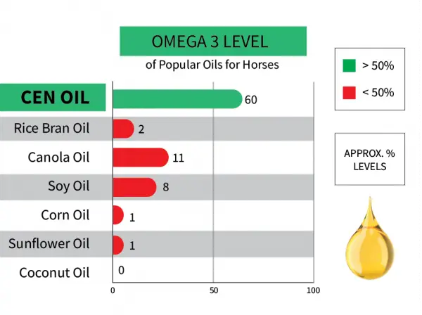 Omega 3 Oil Comparison