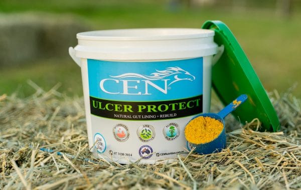 CEN ULCER PROTECT