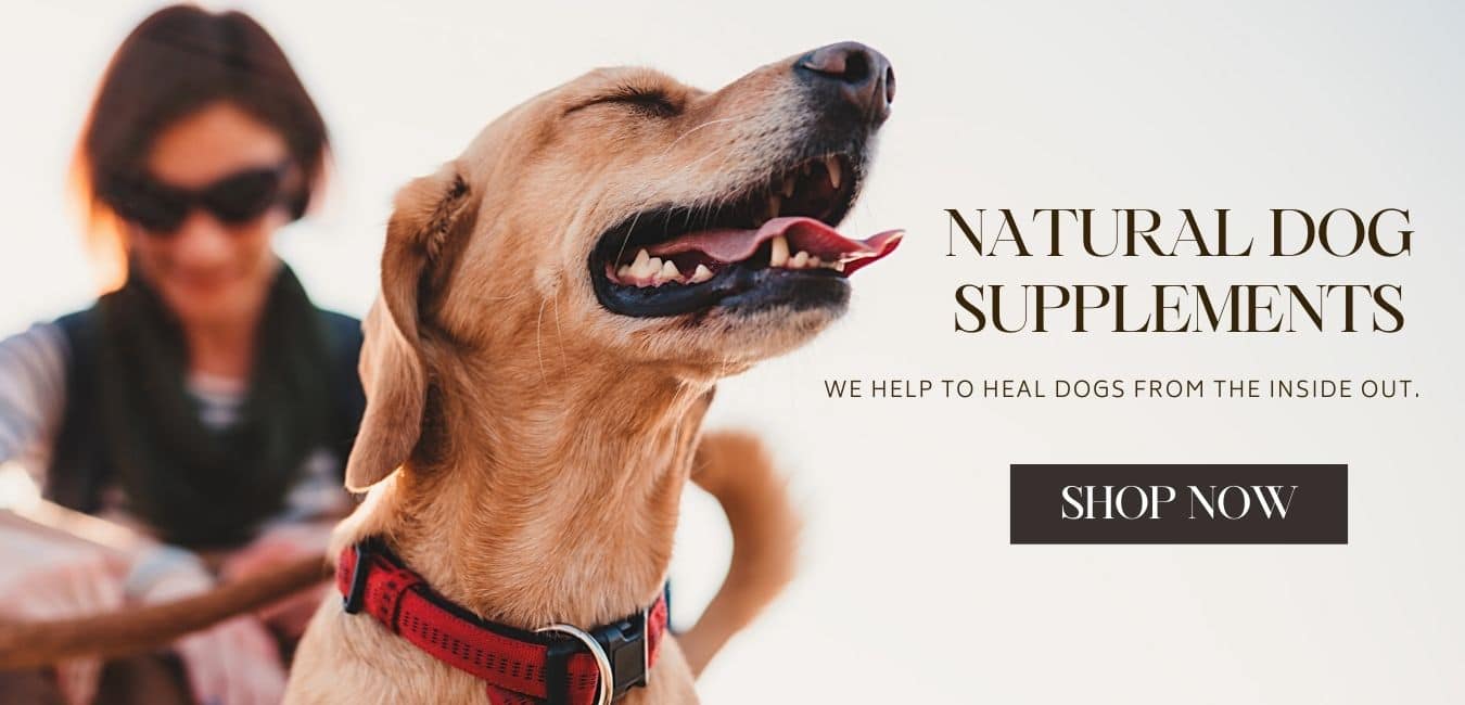 CEN DOG NUTRITION NATURAL SUPPLEMENTS FOR DOGS