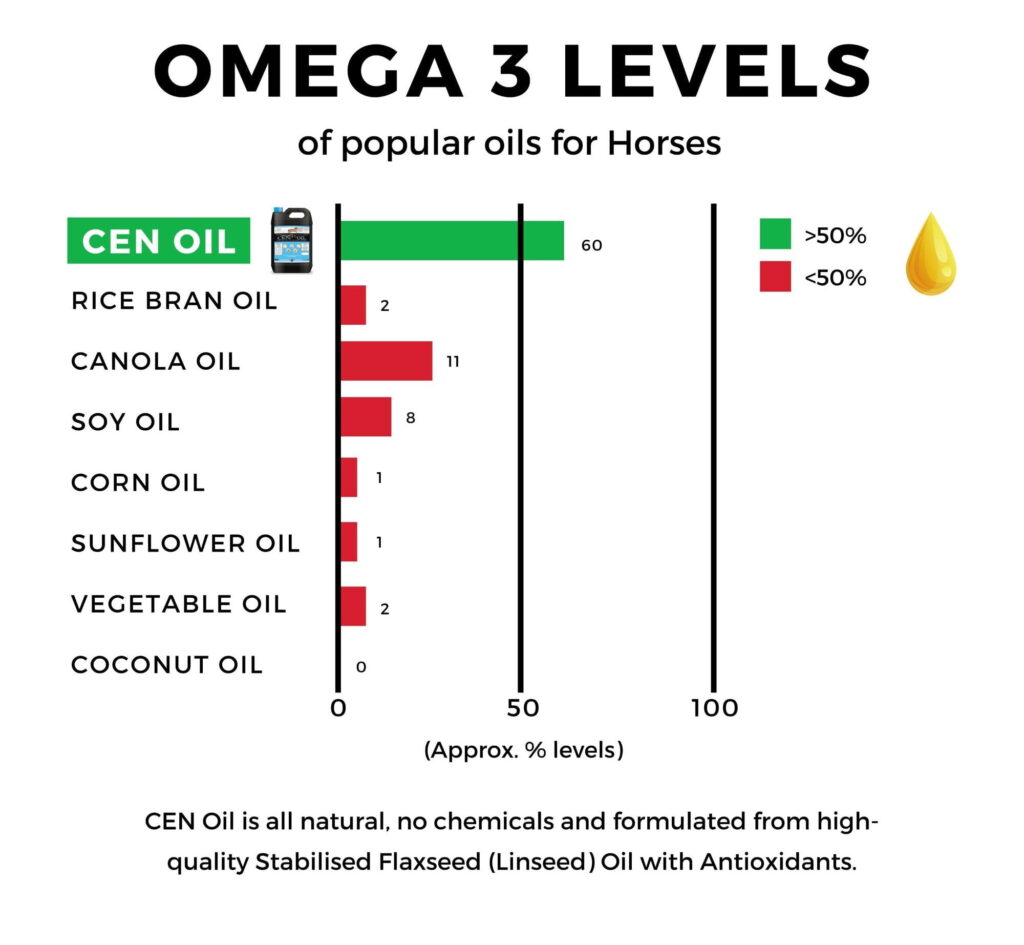 Graphic showing Omega 3 levels in Australian horses after taking CEN linseed oil