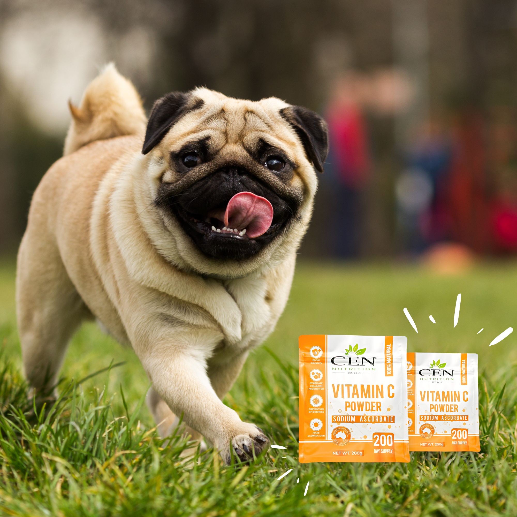 Benefits of Vitamin C for Dogs CEN Nutrition