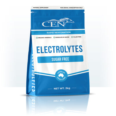 CEN Horse Electrolytes Equine Rehydration Recovery